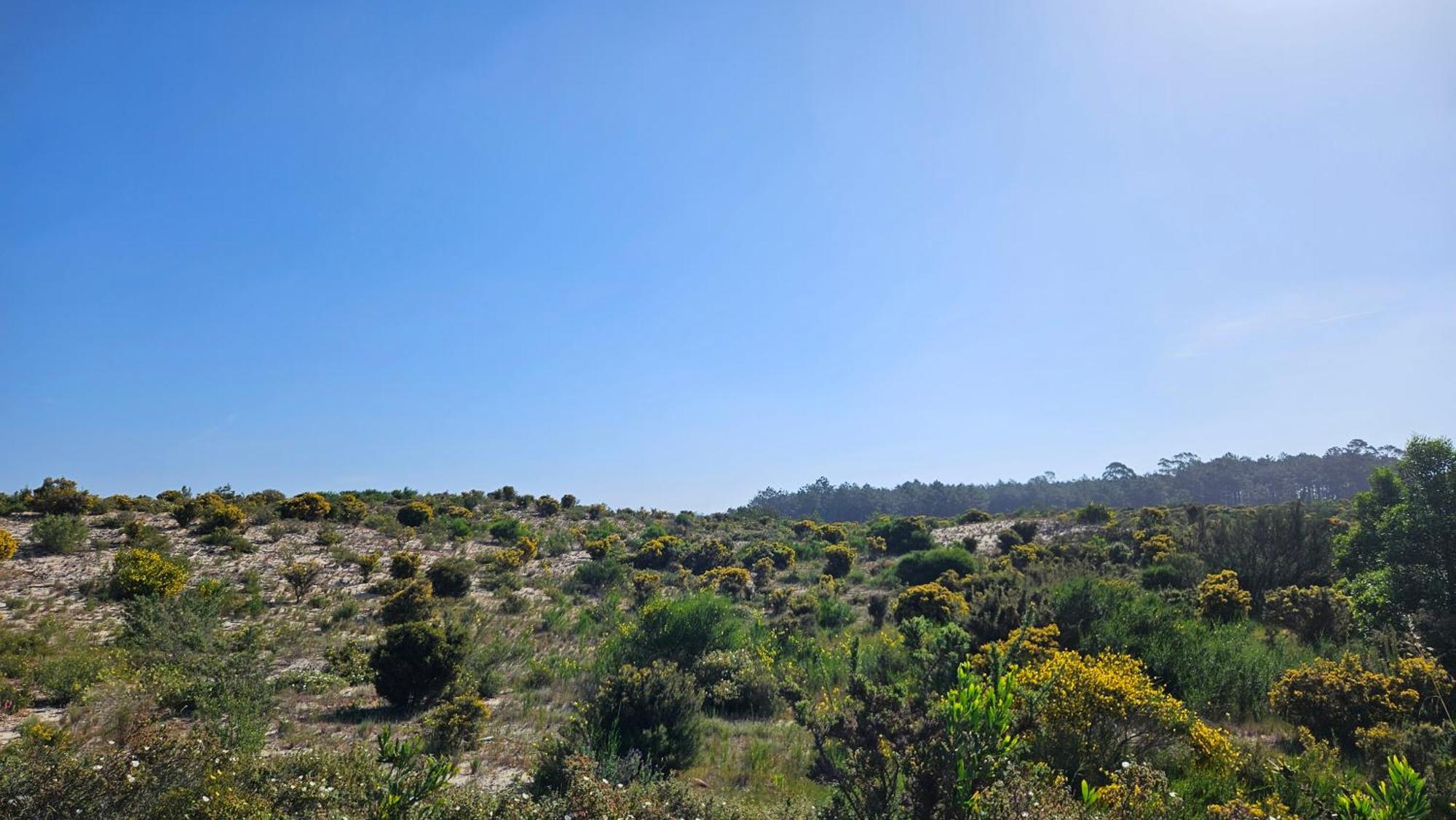 Nazare Uninterrupted Views And Sounds Of The Sea Apartment Патайас Екстериор снимка
